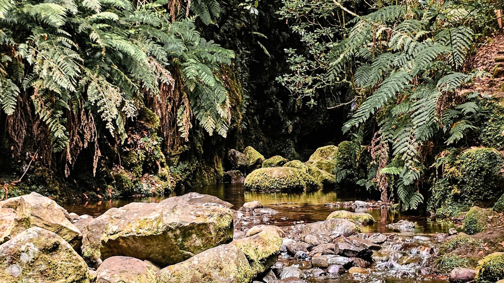 Levada do Rei (modern photo)